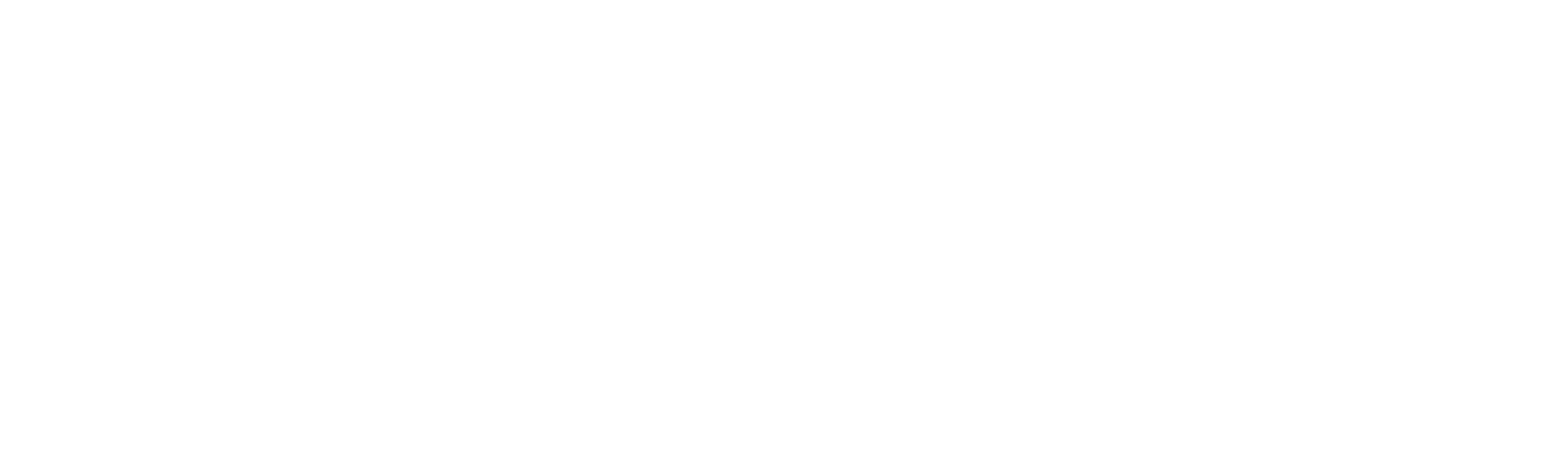 logo light